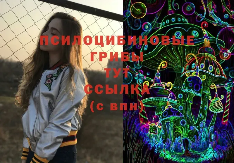 Галлюциногенные грибы Magic Shrooms Заринск