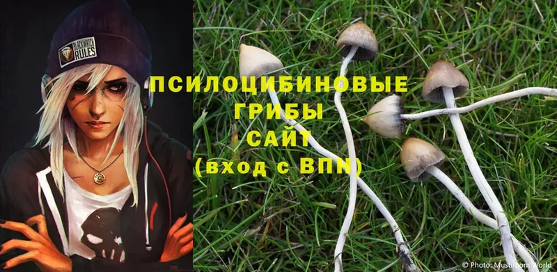 Галлюциногенные грибы Magic Shrooms  купить наркоту  Заринск 